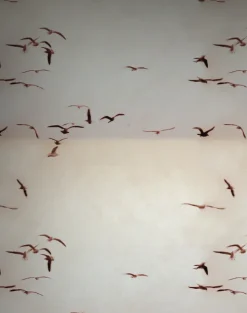 Portuguese Seagulls, Vintage