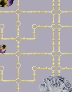 Quinn Orchid W-QOR-VGO-LMI