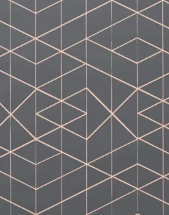 Range, Tangerine on Dark Grey