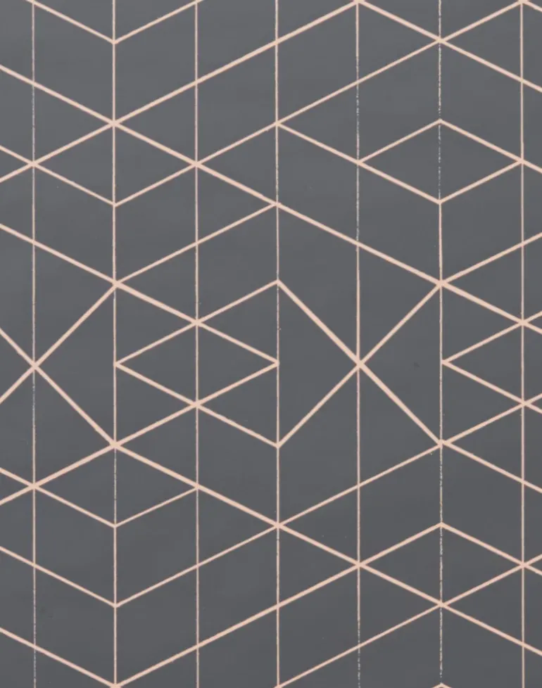 Range, Tangerine on Dark Grey