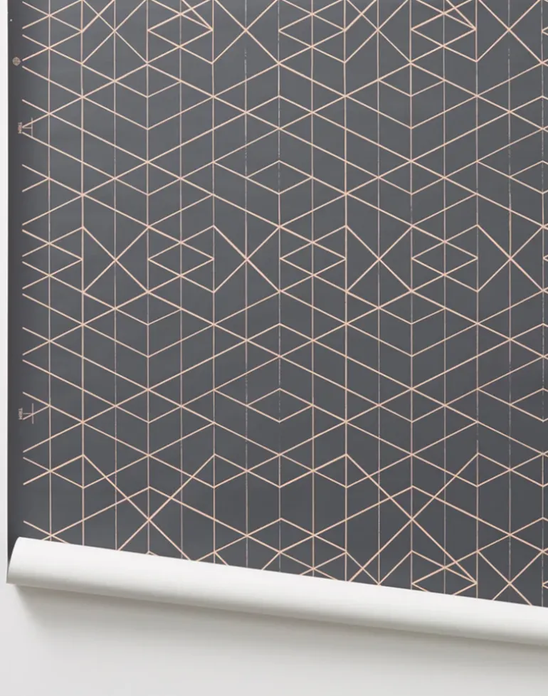 Range, Tangerine on Dark Grey