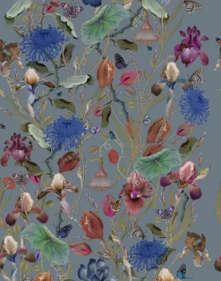 Royal Iris W-RIR-PHE-ENF