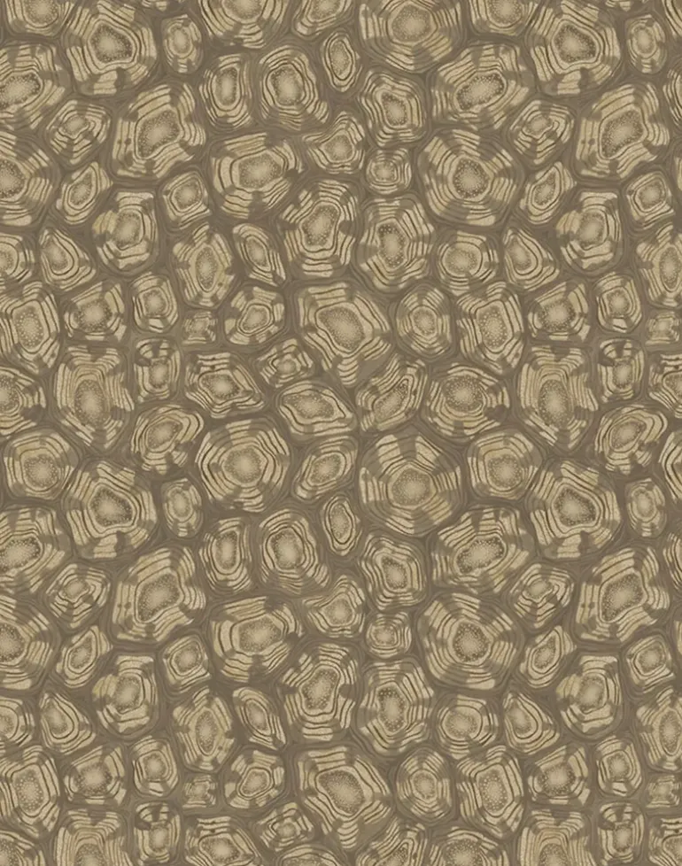 Savanna Shell, Metallic Gilver with Cedar & Metallic Gold 119/4020