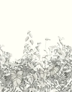 Secret Garden MAC021