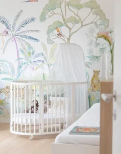 Selva on White, Panoramic