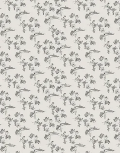 Sisters, Solstice WPLR0113