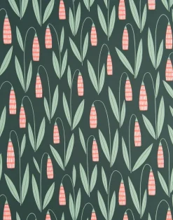 Snowdrops, Evergreen