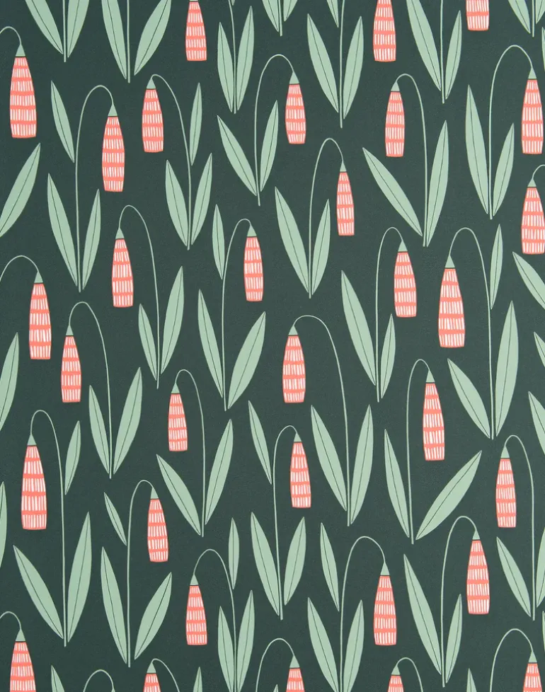 Snowdrops, Evergreen