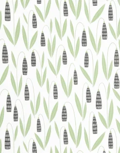 Snowdrops, Forest Shade