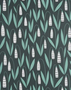 Snowdrops, Night Flower