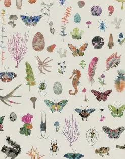 Specimens, Linen - Linen Fabric