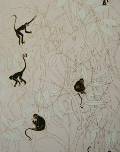 Spider Monkey, Monkeys at Sunset