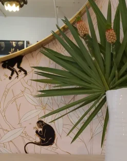 Spider Monkey, Monkeys at Sunset