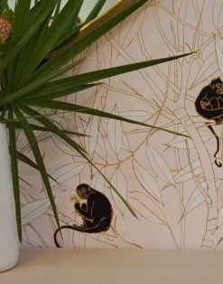 Spider Monkey, Monkeys at Sunset