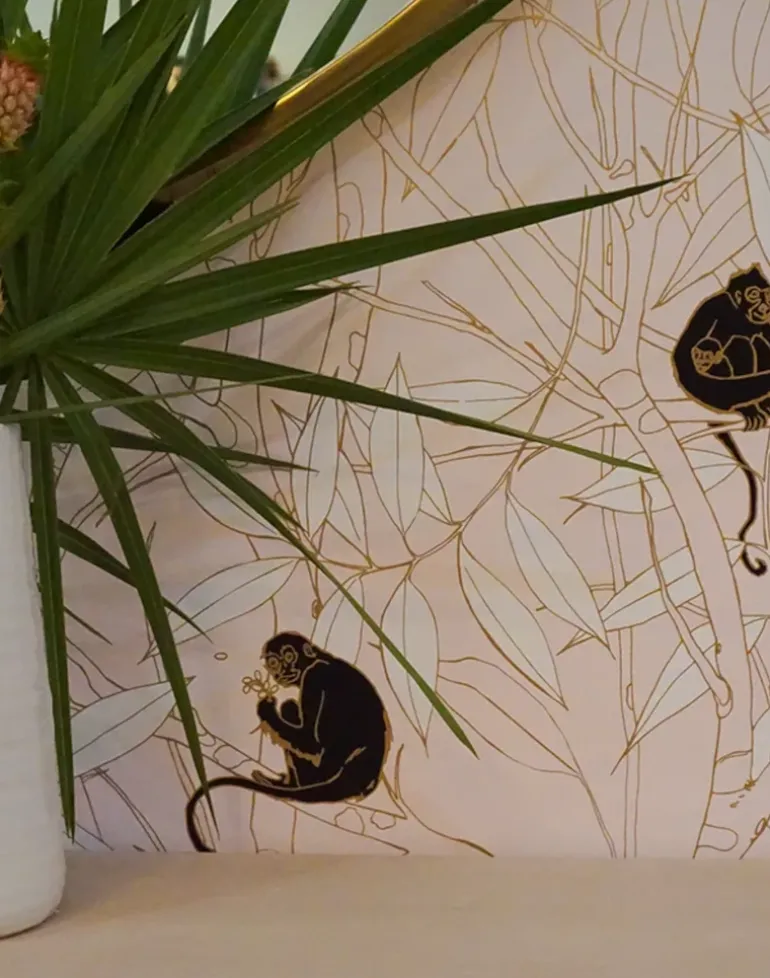 Spider Monkey, Monkeys at Sunset