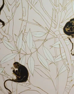 Spider Monkey, Monkeys at Sunset