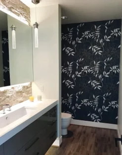 Spider Monkey, Monkeys at Midnight