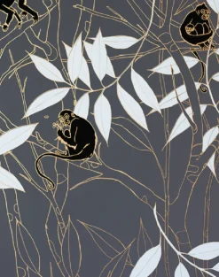 Spider Monkey, Monkeys at Midnight