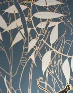 Spider Monkey, Monkeys Before Dawn