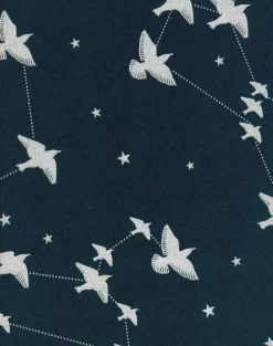 Starling, Midnight & Silver