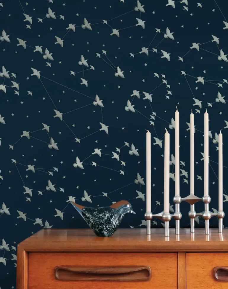 Starling, Midnight & Silver