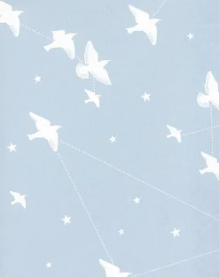 Starling, Powder Blue