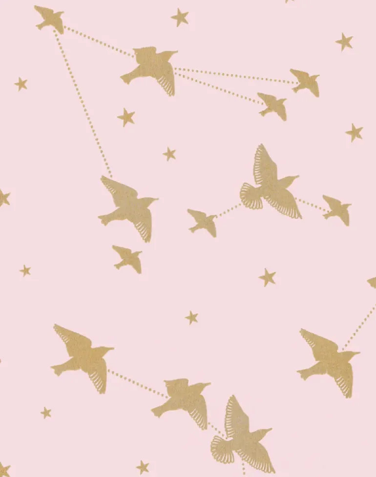 Starling, Rose Marais & Gold