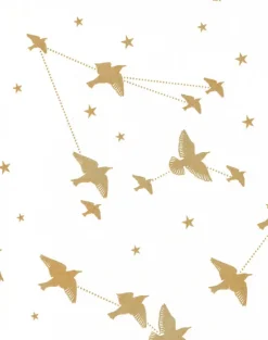 Starling, Snow & Gold