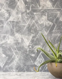 Sterredust, Siouxsie Dazzle