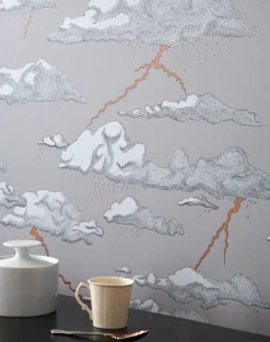 Storm Clouds, Grey Sky