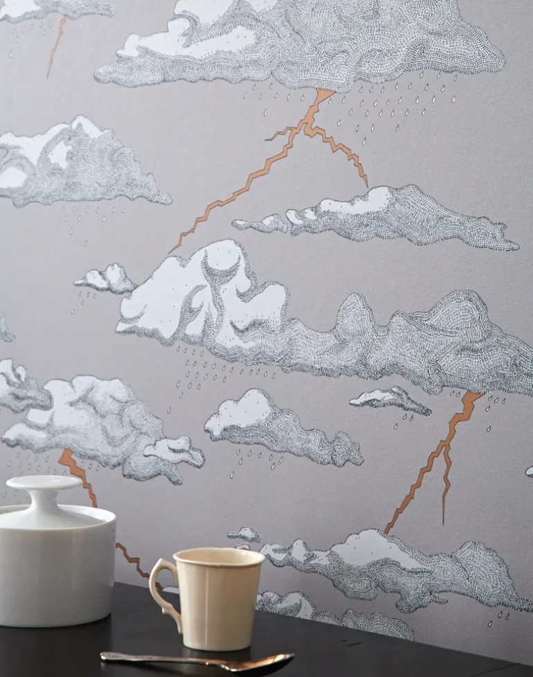 Storm Clouds, Grey Sky