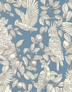 Talk about Cockatoos, Faded Denim