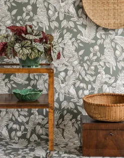 Talk about Cockatoos, Sage Green