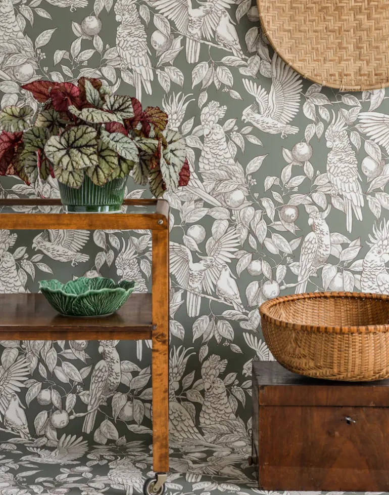 Talk about Cockatoos, Sage Green