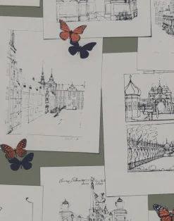 The Butterfly Effect, Dusty Orange