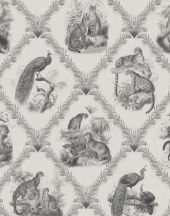 The Fierce & The Fabulous, Soft Charcoal