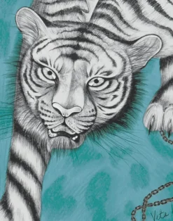 Tigris, Teal W0105-05