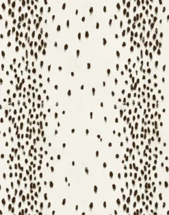 Tottenham Dalmatian, Cocoa