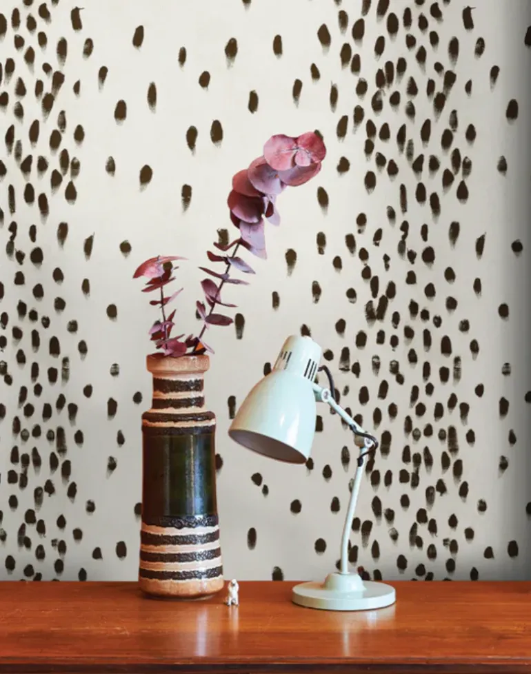 Tottenham Dalmatian, Cocoa