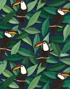 Toucan