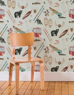 Upstate Camp, Adirondack