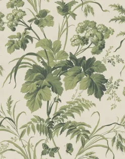 Where the Wild Flowers Grow, Sage