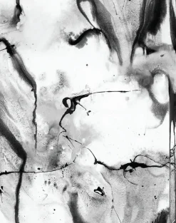 Whirling Dervish, White