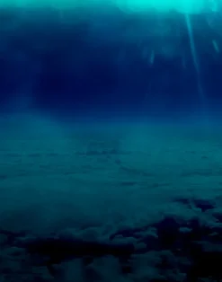 Whisper Above the Clouds, PM179-02