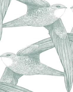 White Birds, Celadon