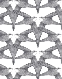 White Birds, Regular