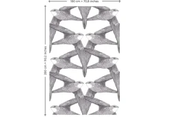 White Birds, Regular