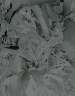 Wise Pond - A Frog Jumps, Gray PM164-04