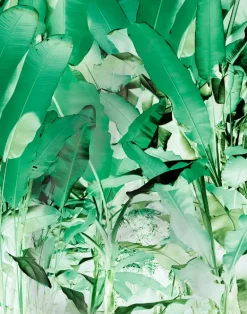 Wise Pond - A Frog Jumps, Green PM164-07