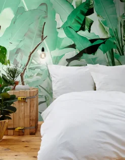 Wise Pond - A Frog Jumps, Green PM164-07